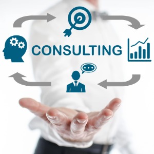 Business Consulting & Advisory